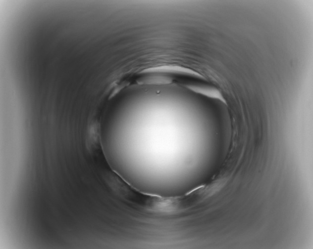 X0000099570096200805231540