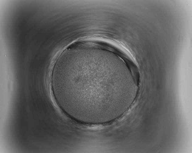 X0000099570097200805231539