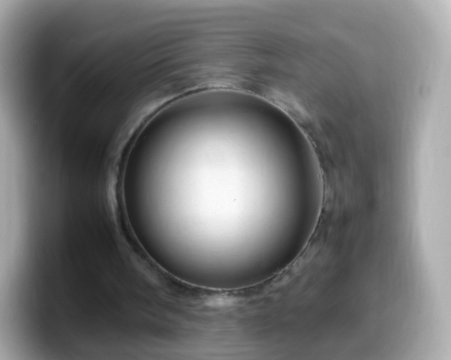 X0000099570098200805231539