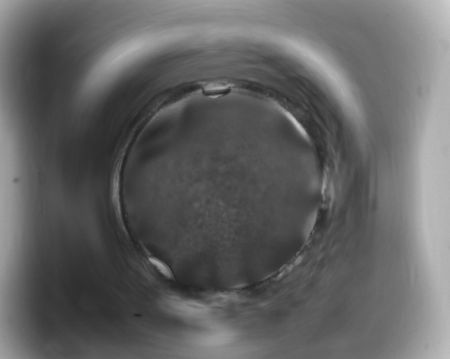 X0000099570099200805231539