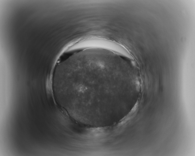 X0000099570100200805231539