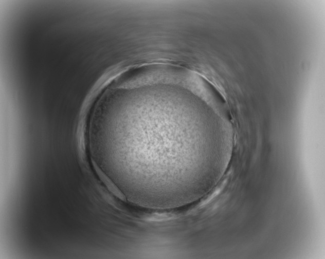 X0000099570101200805231539