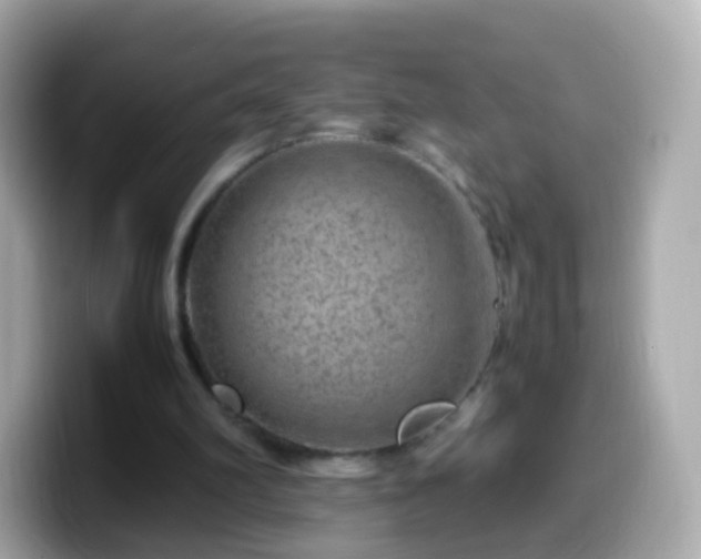 X0000099570102200805231539
