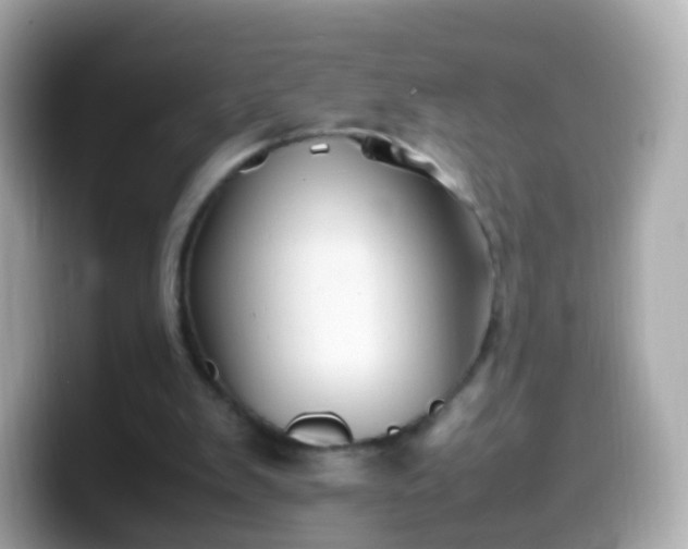 X0000099570103200805231539