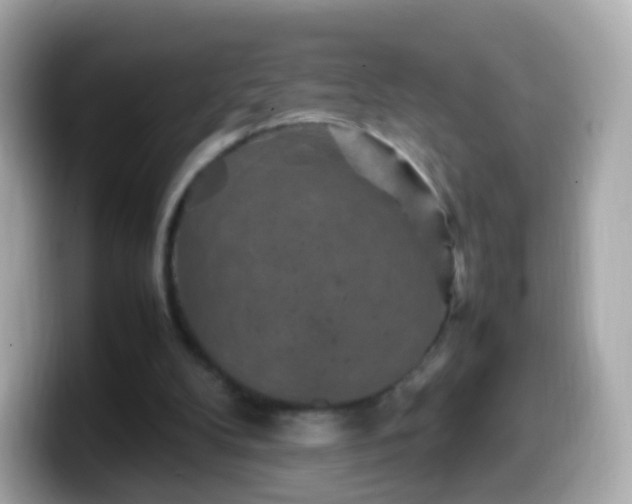 X0000099570104200805231539