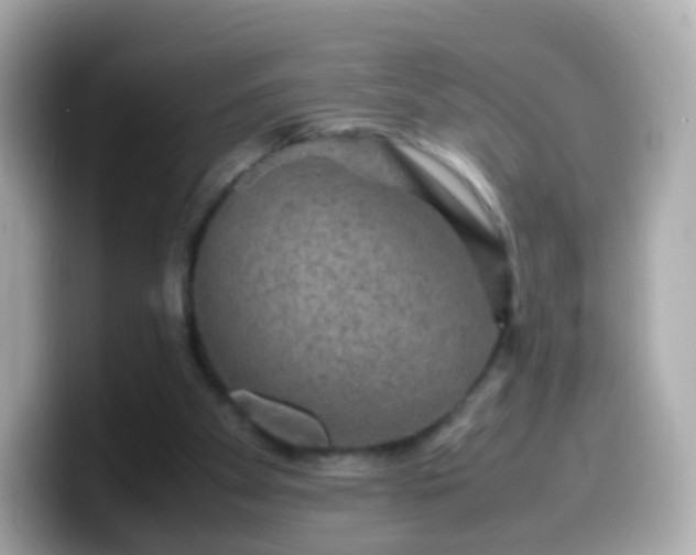 X0000099570105200805231539