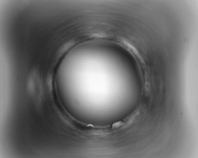 X0000099570106200805231539
