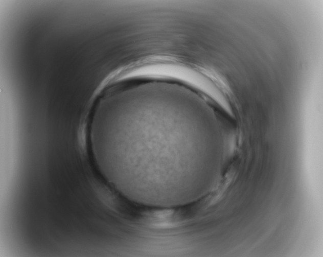 X0000099570108200805231539