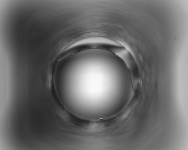 X0000099570109200805231539