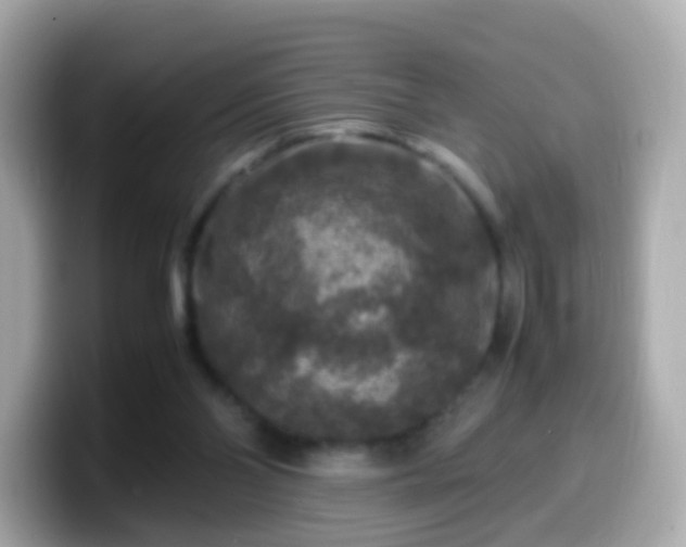 X0000099570110200805231539