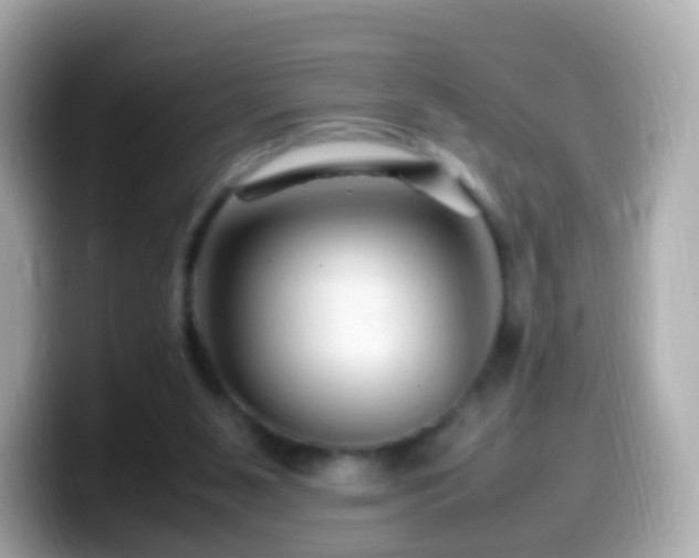 X0000099570111200805231539