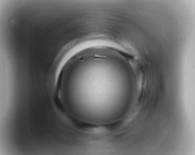 X0000099570112200805231539