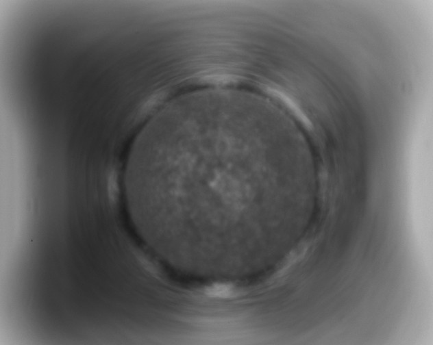 X0000099570114200805231539
