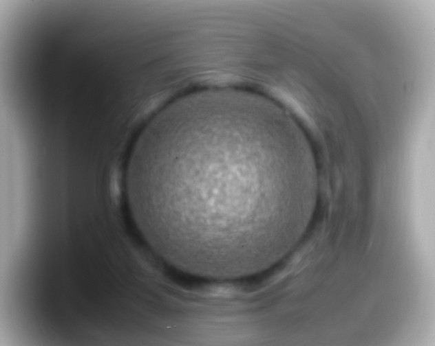 X0000099570115200805231539