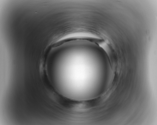 X0000099570116200805231539