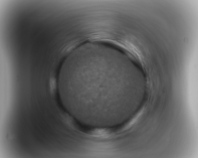 X0000099570117200805231539
