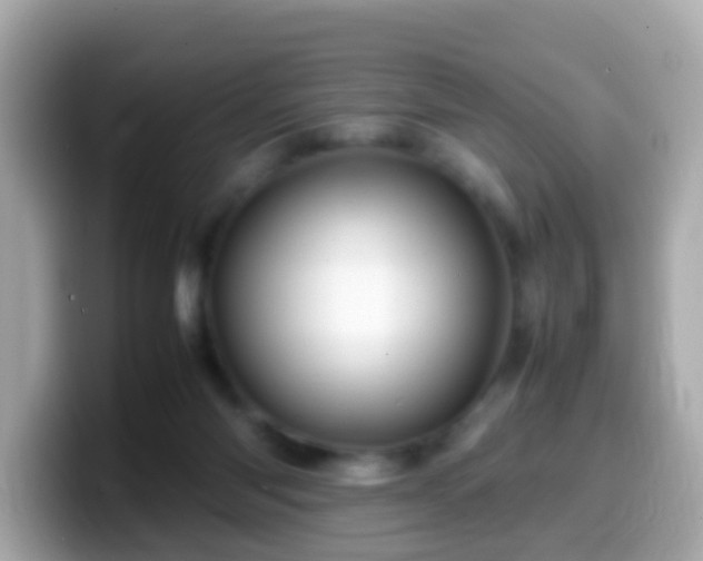 X0000099570118200805231539