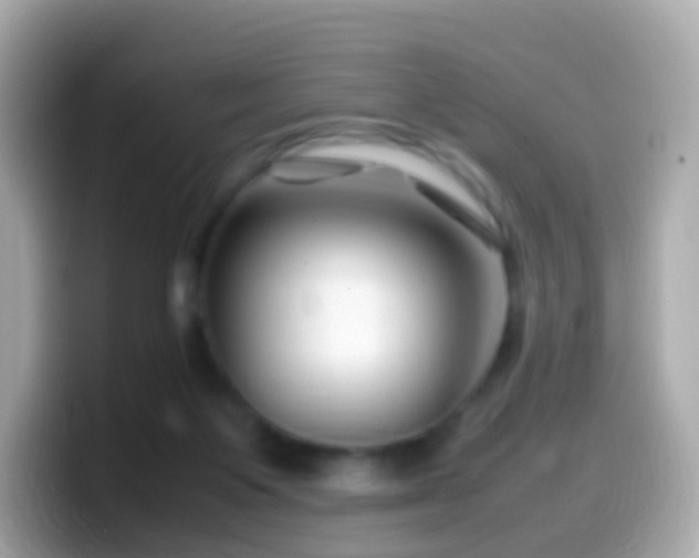 X0000099570119200805231539