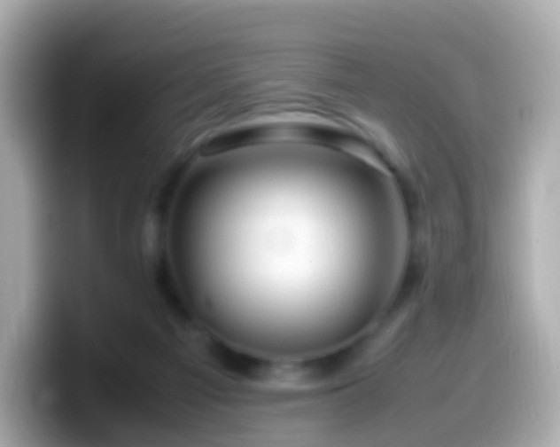 X0000099570121200805231539