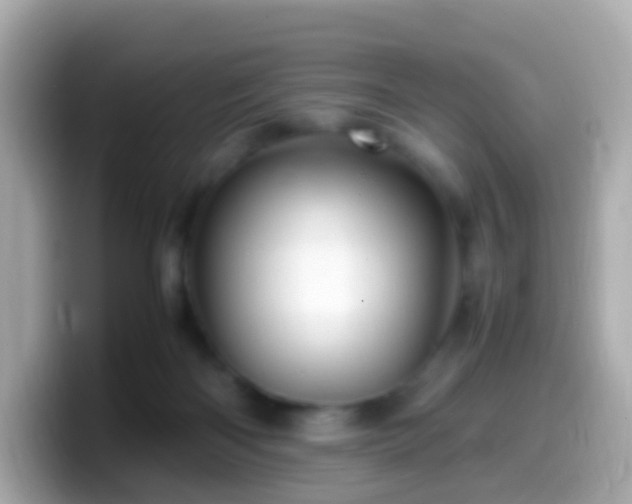 X0000099570122200805231539
