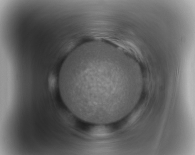 X0000099570123200805231539