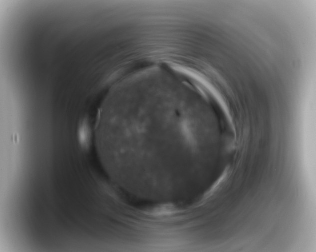 X0000099570124200805231539