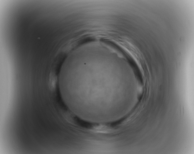 X0000099570125200805231538