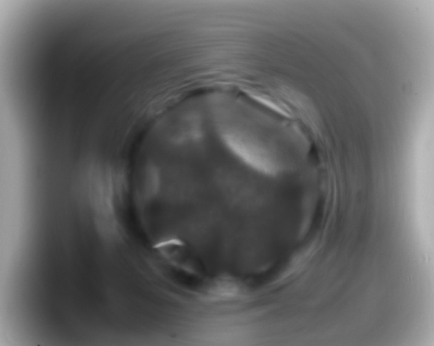 X0000099570127200805231538