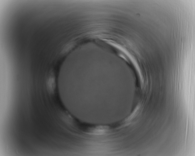 X0000099570128200805231538