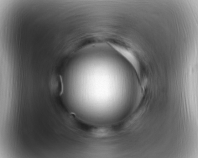 X0000099570129200805231538