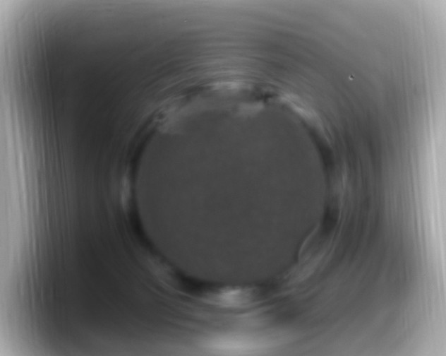 X0000099570130200805231538