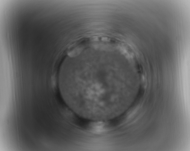 X0000099570131200805231538