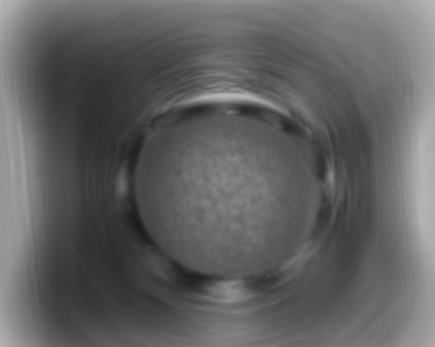 X0000099570132200805231538