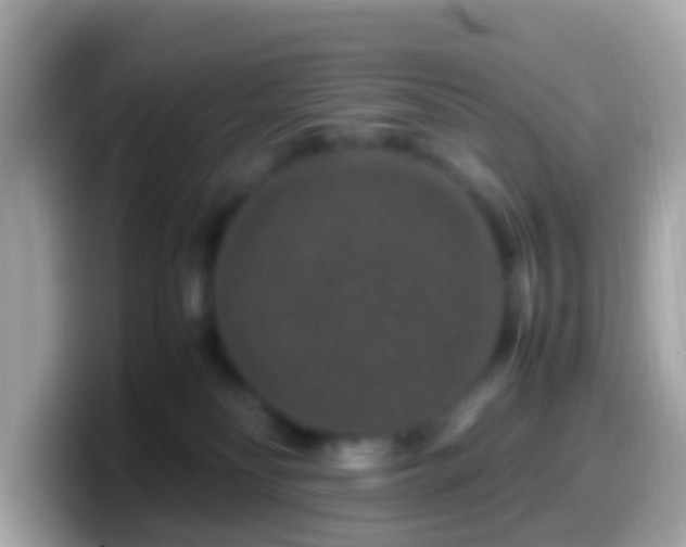 X0000099570134200805231538