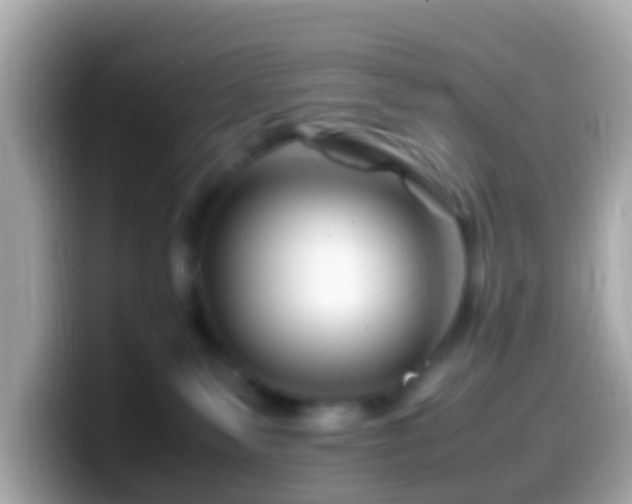 X0000099570135200805231538