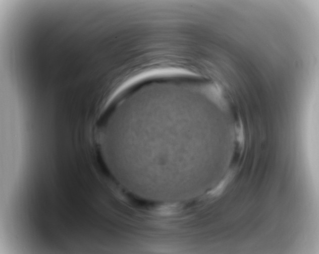 X0000099570136200805231538