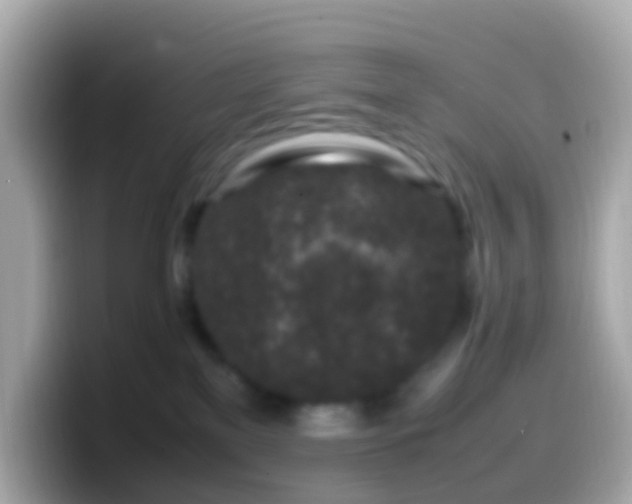 X0000099570137200805231538