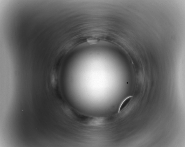 X0000099570138200805231538