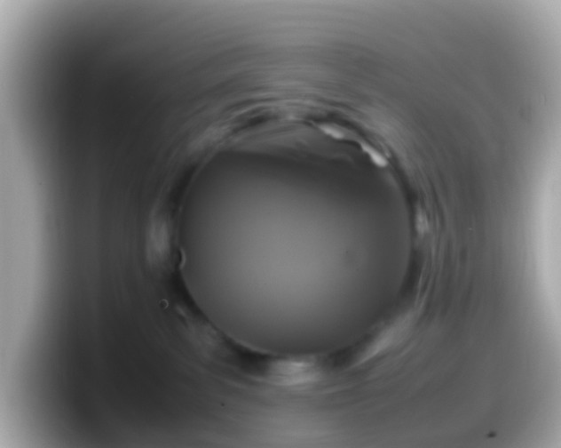 X0000099570139200805231538