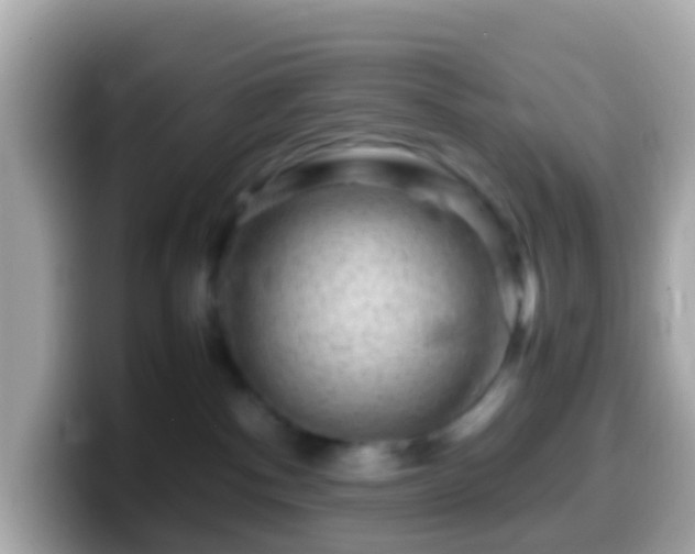 X0000099570140200805231538