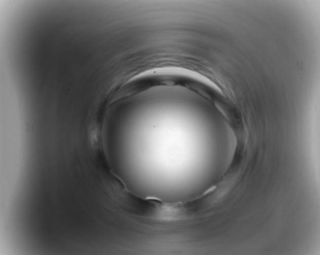 X0000099570141200805231538
