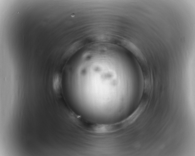 X0000099570142200805231538