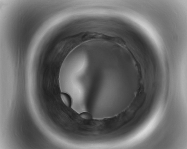 X0000099570143200805231538