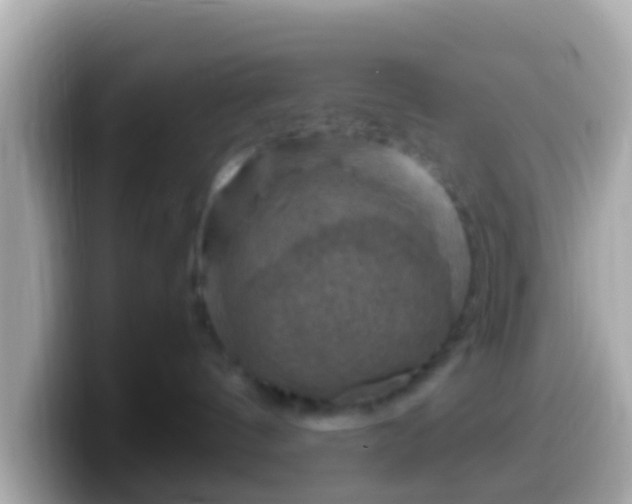 X0000099570144200805231538