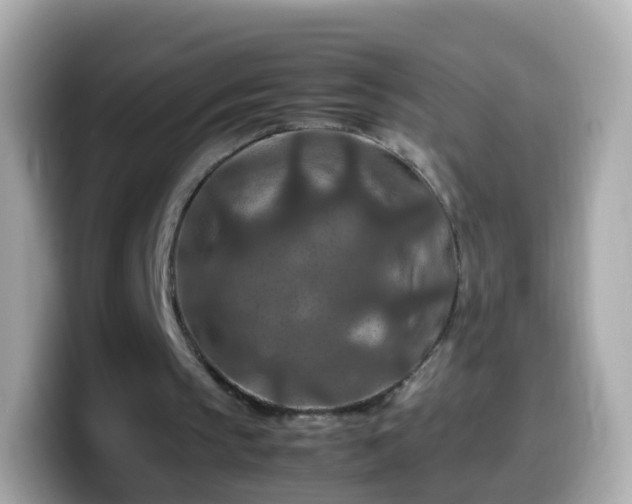 X0000099570145200805231538