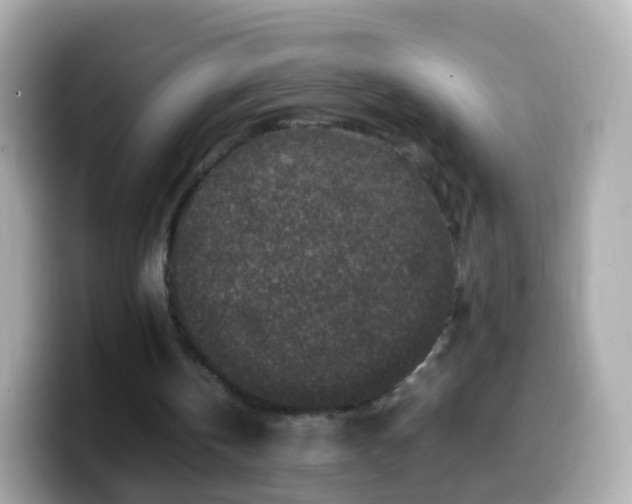 X0000099570146200805231538