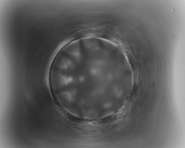X0000099570147200805231538