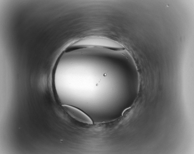 X0000099570148200805231538