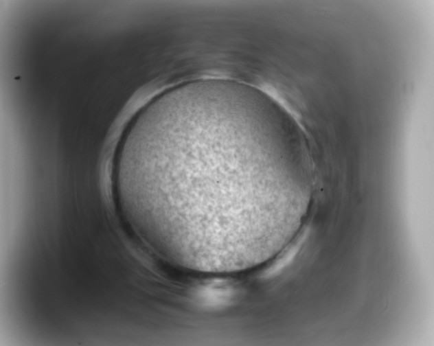 X0000099570151200805231538