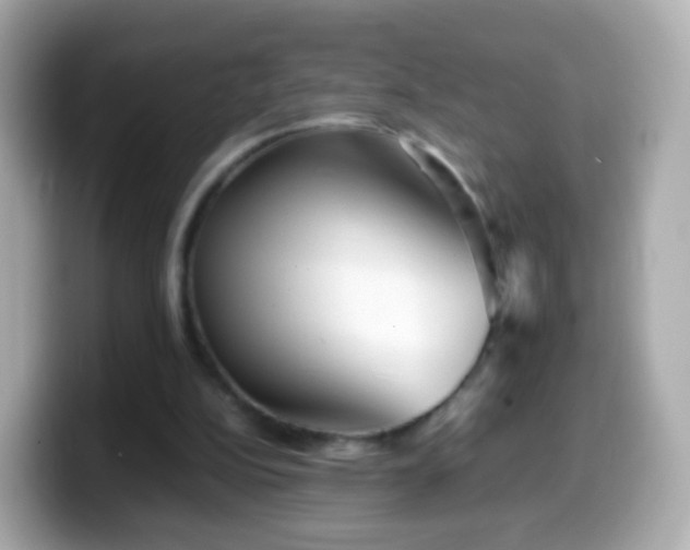 X0000099570152200805231538